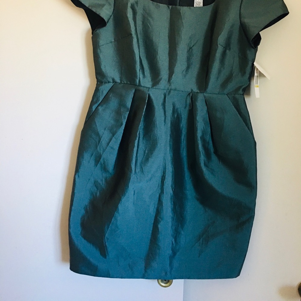 Alex Petite Evening Dress. Dress has lining*a little tear in the lining-see phot